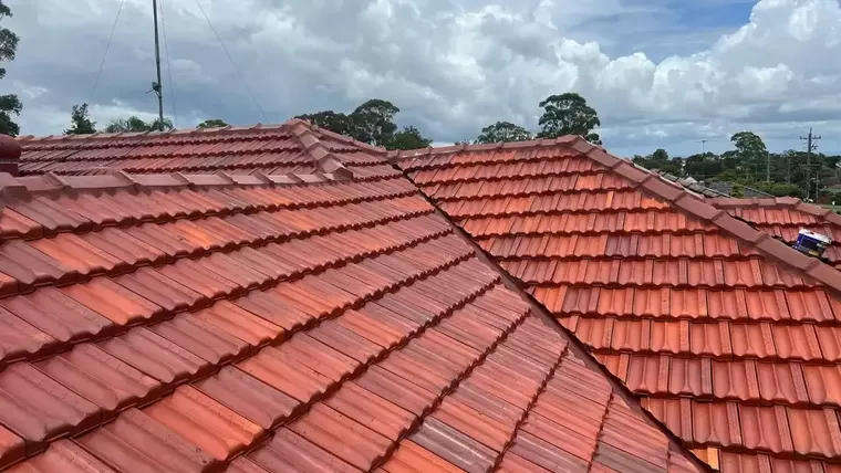 Terracotta Roof Tiles