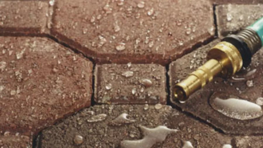 How to Avoid Costly Paving Sealing Mistakes